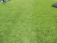 jwsigpro_cache_7abd568efaimg_5808_1