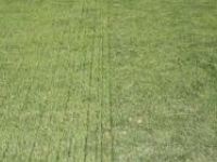 jwsigpro_cache_7abd568efaimg_5818_1